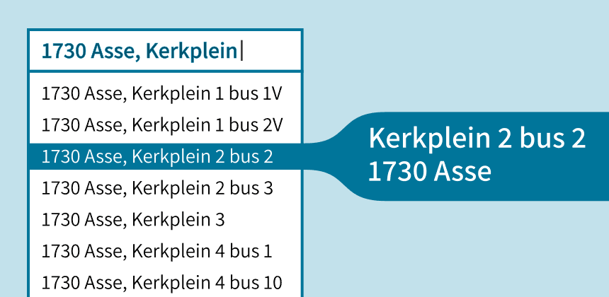 Autocomplete address details example